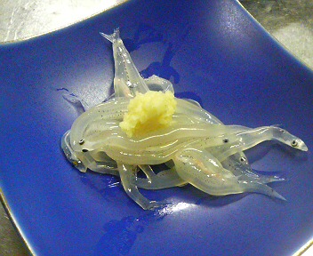 白魚